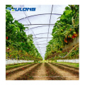 Multi-span Agricultural Galvanized Greenhouse Frame